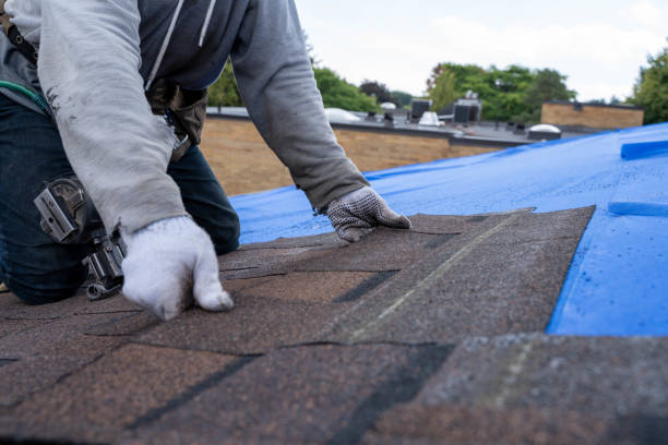 Best Roof Gutter Cleaning  in Southside Place, TX